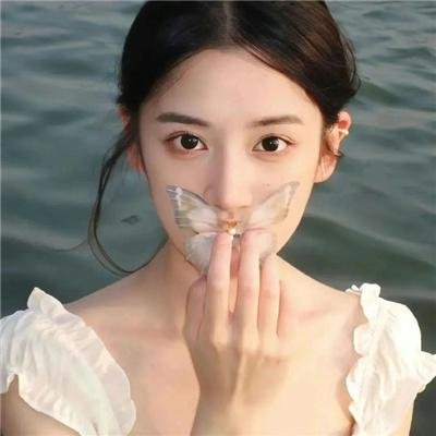飞燕惊鸿